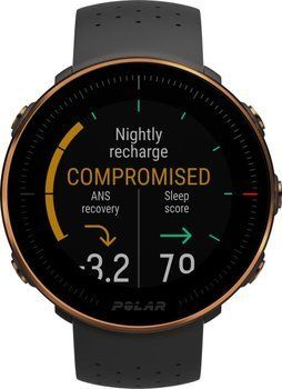 Пульсометр Polar Vantage M Black/Copper M/L — фото 2